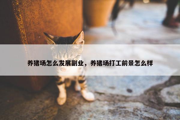 养猪场怎么发展副业，养猪场打工前景怎么样