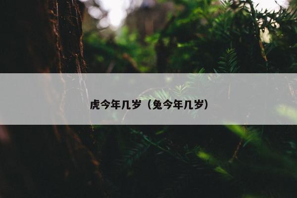 虎今年几岁（兔今年几岁）