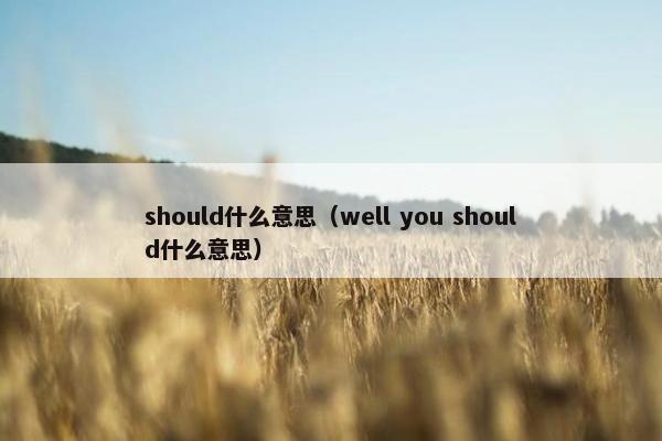 should什么意思（well you should什么意思）