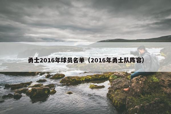 勇士2016年球员名单（2016年勇士队阵容）