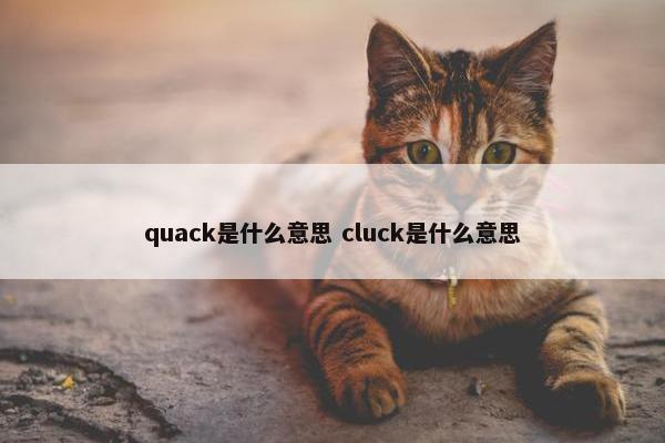 quack是什么意思 cluck是什么意思