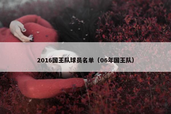 2016国王队球员名单（06年国王队）