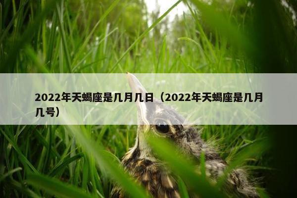 2022年天蝎座是几月几日（2022年天蝎座是几月几号）