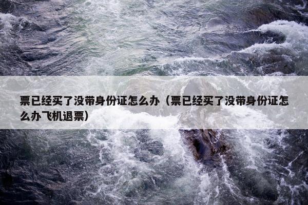 票已经买了没带身份证怎么办（票已经买了没带身份证怎么办飞机退票）