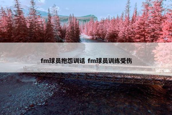 fm球员抱怨训话 fm球员训练受伤