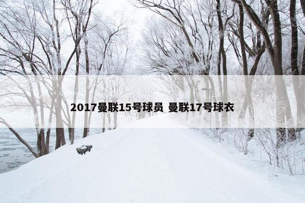 2017曼联15号球员 曼联17号球衣