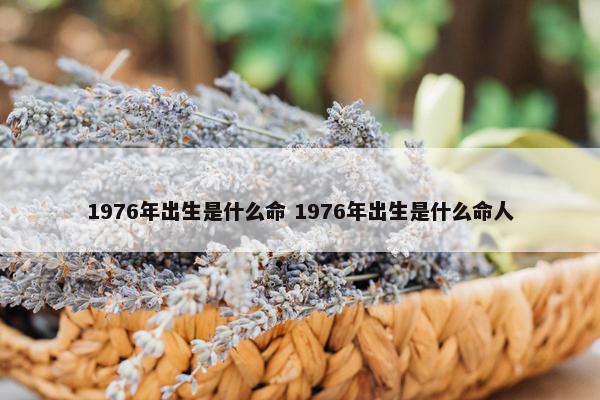 1976年出生是什么命 1976年出生是什么命人