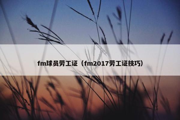 fm球员劳工证（fm2017劳工证技巧）