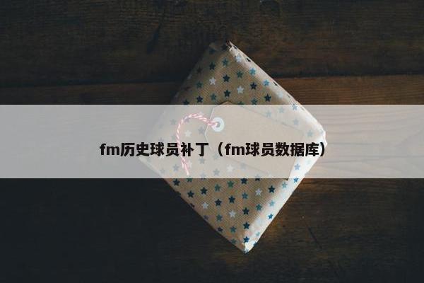 fm历史球员补丁（fm球员数据库）