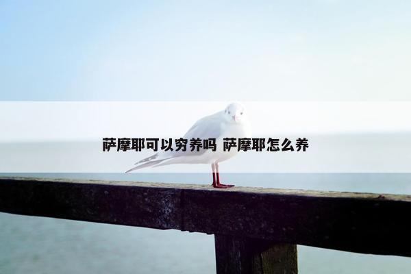 萨摩耶可以穷养吗 萨摩耶怎么养