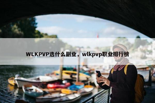 WLKPVP选什么副业，wlkpvp职业排行榜