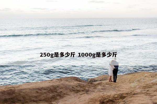 250g是多少斤 1000g是多少斤