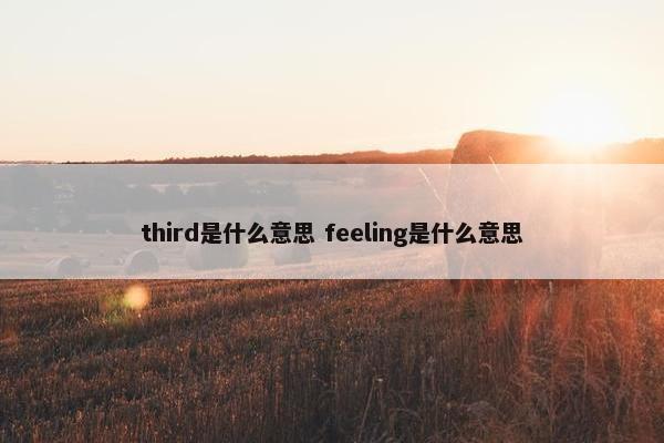 third是什么意思 feeling是什么意思