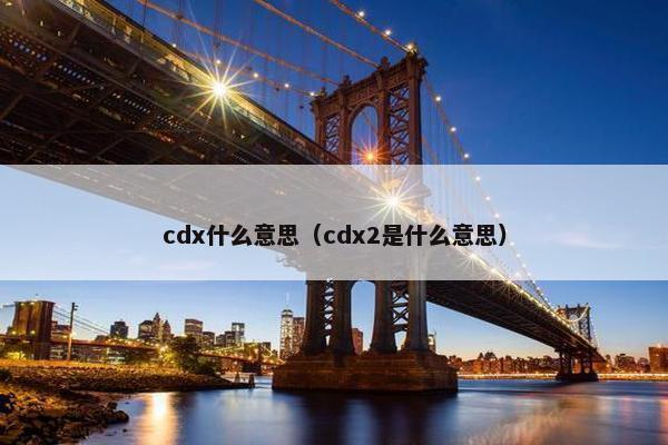 cdx什么意思（cdx2是什么意思）