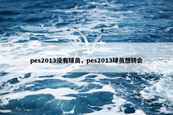 pes2013没有球员，pes2013球员想转会