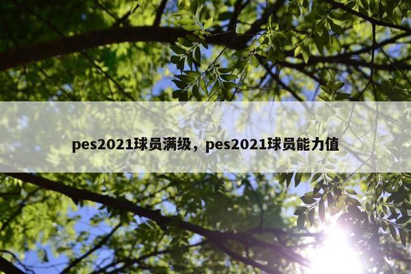 pes2021球员满级，pes2021球员能力值