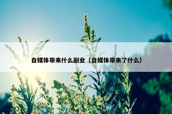 自媒体带来什么副业（自媒体带来了什么）