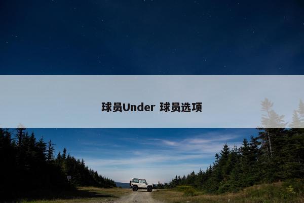 球员Under 球员选项