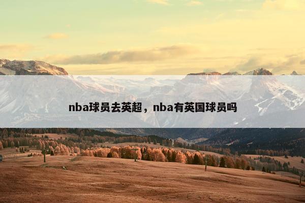 nba球员去英超，nba有英国球员吗