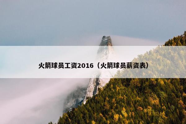 火箭球员工资2016（火箭球员薪资表）