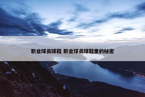 职业球员球鞋 职业球员球鞋里的秘密