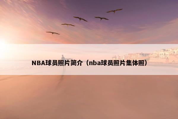 NBA球员照片简介（nba球员照片集体照）