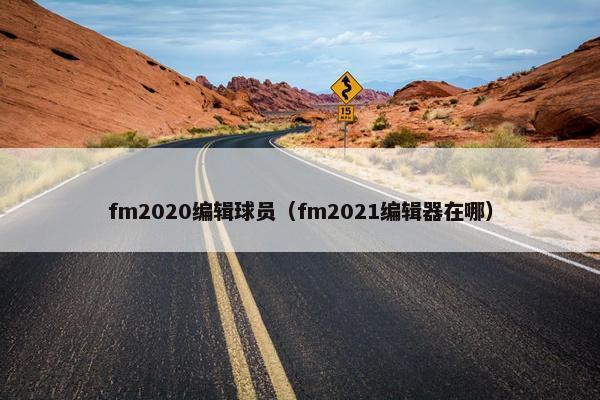 fm2020编辑球员（fm2021编辑器在哪）