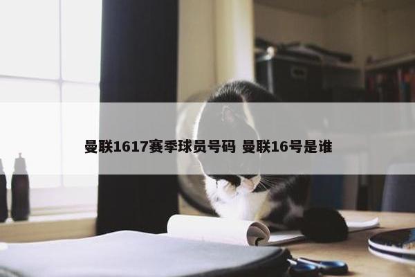 曼联1617赛季球员号码 曼联16号是谁