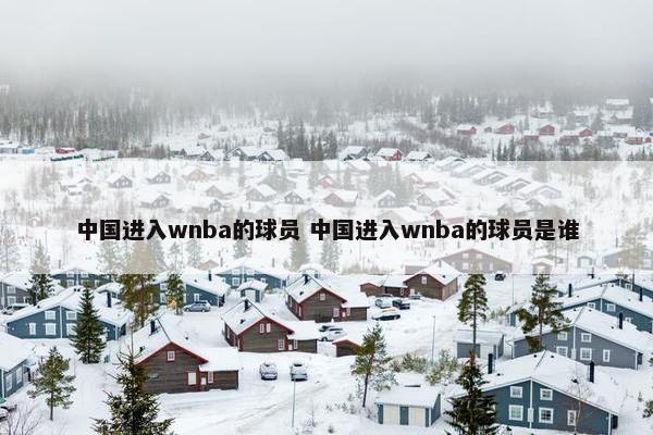 中国进入wnba的球员 中国进入wnba的球员是谁