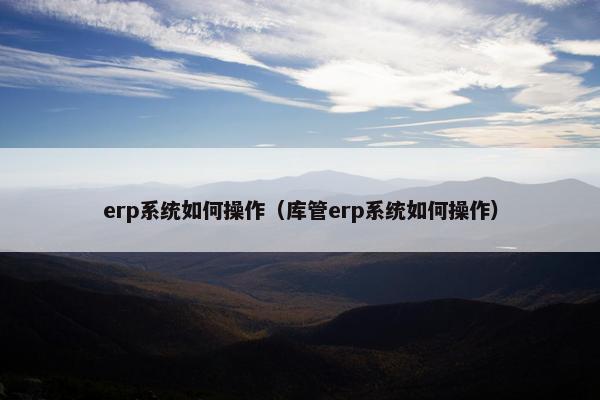 erp系统如何操作（库管erp系统如何操作）