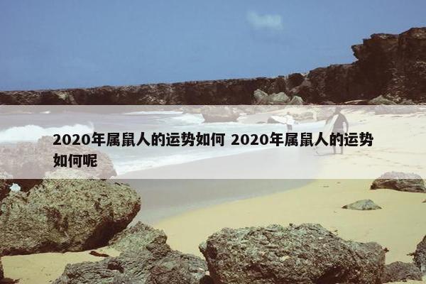 2020年属鼠人的运势如何 2020年属鼠人的运势如何呢