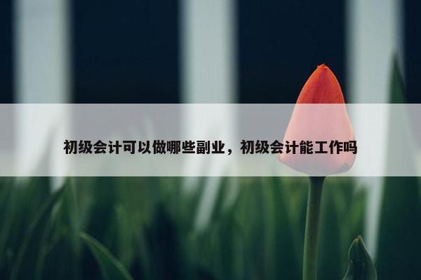 初级会计可以做哪些副业，初级会计能工作吗