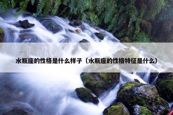 水瓶座的性格是什么样子（水瓶座的性格特征是什么）