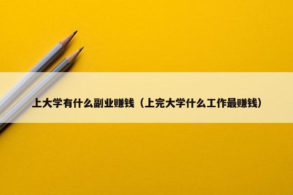 上大学有什么副业赚钱（上完大学什么工作最赚钱）