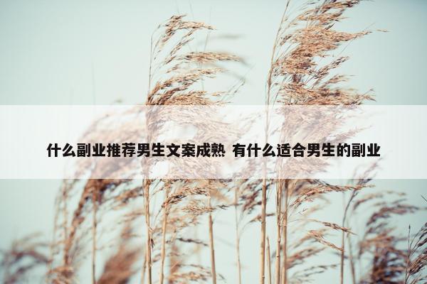 什么副业推荐男生文案成熟 有什么适合男生的副业