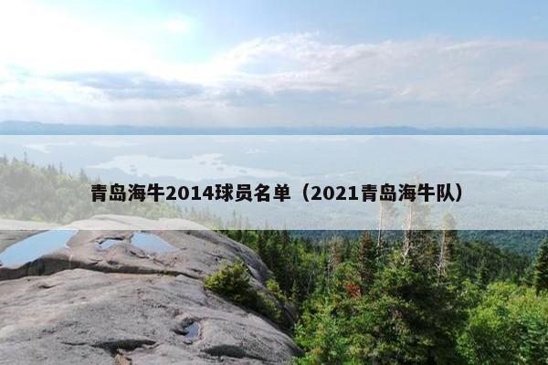 青岛海牛2014球员名单（2021青岛海牛队）