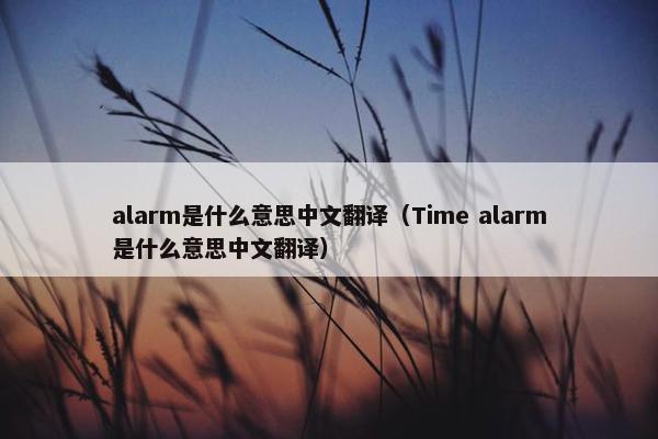 alarm是什么意思中文翻译（Time alarm是什么意思中文翻译）