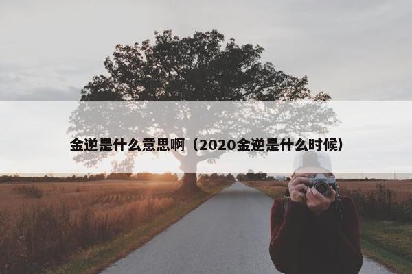 金逆是什么意思啊（2020金逆是什么时候）