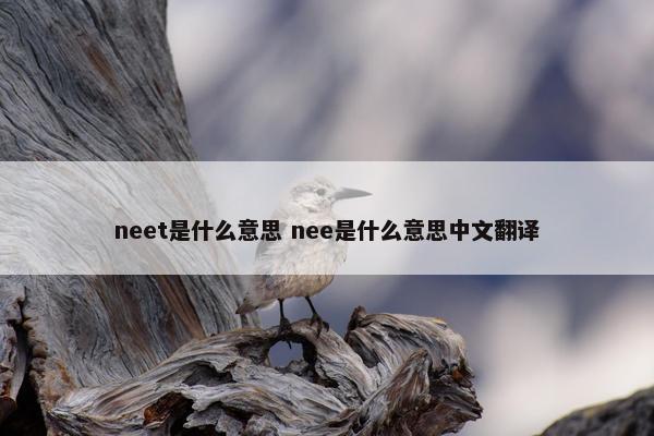 neet是什么意思 nee是什么意思中文翻译