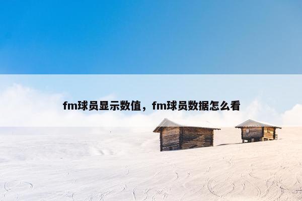 fm球员显示数值，fm球员数据怎么看