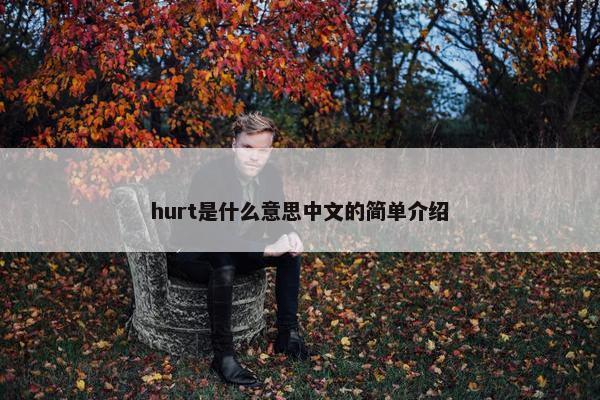 hurt是什么意思中文的简单介绍