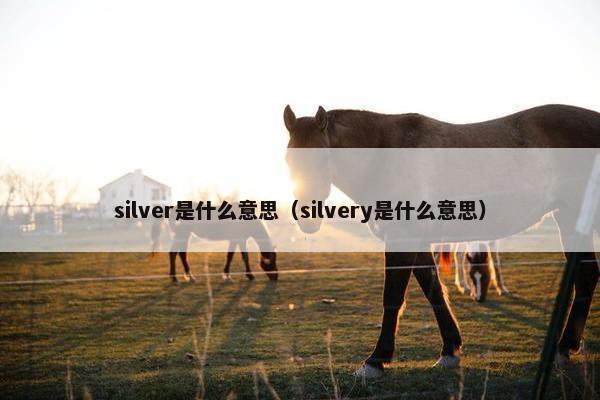 silver是什么意思（silvery是什么意思）