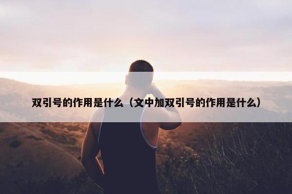 双引号的作用是什么（文中加双引号的作用是什么）