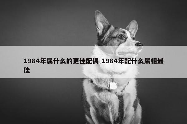 1984年属什么的更佳配偶 1984年配什么属相最佳