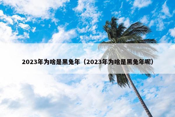 2023年为啥是黑兔年（2023年为啥是黑兔年呢）