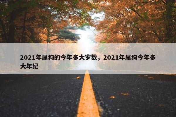 2021年属狗的今年多大岁数，2021年属狗今年多大年纪