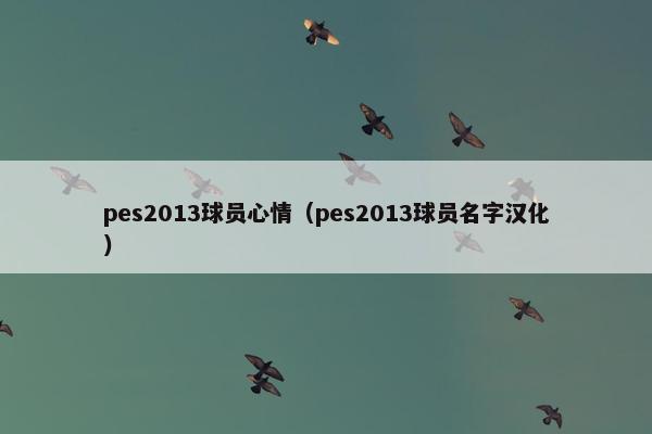 pes2013球员心情（pes2013球员名字汉化）