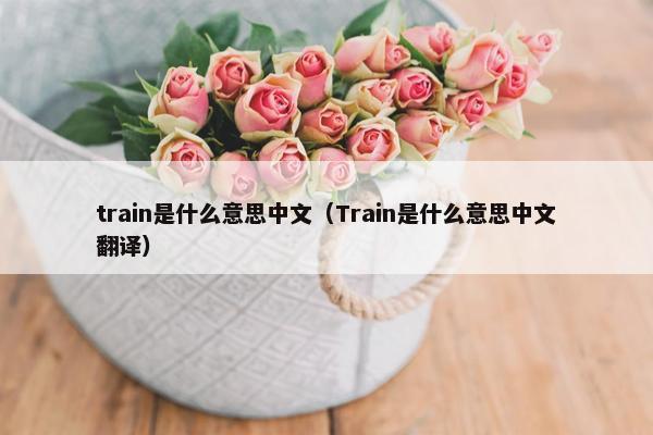 train是什么意思中文（Train是什么意思中文翻译）