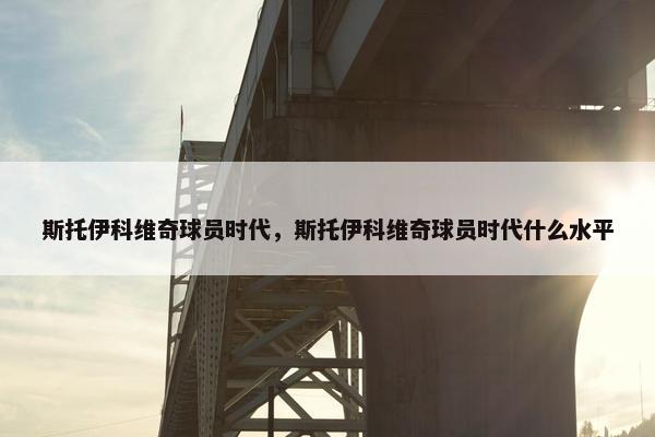 斯托伊科维奇球员时代，斯托伊科维奇球员时代什么水平