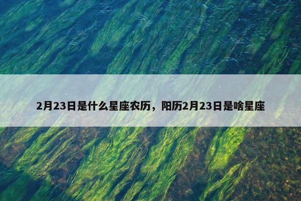 2月23日是什么星座农历，阳历2月23日是啥星座